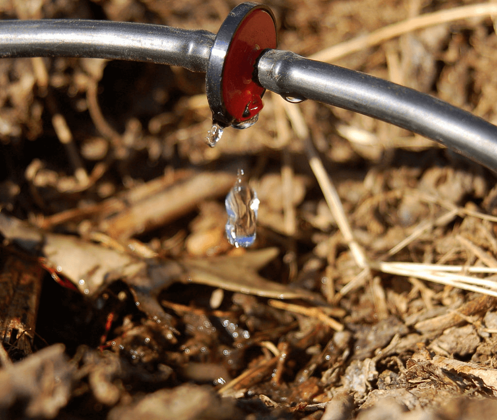 Drip systems Irriation