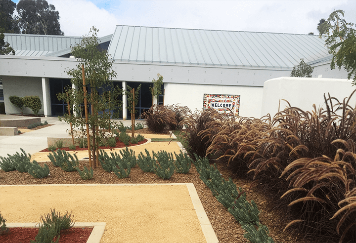 water conservation landscaping