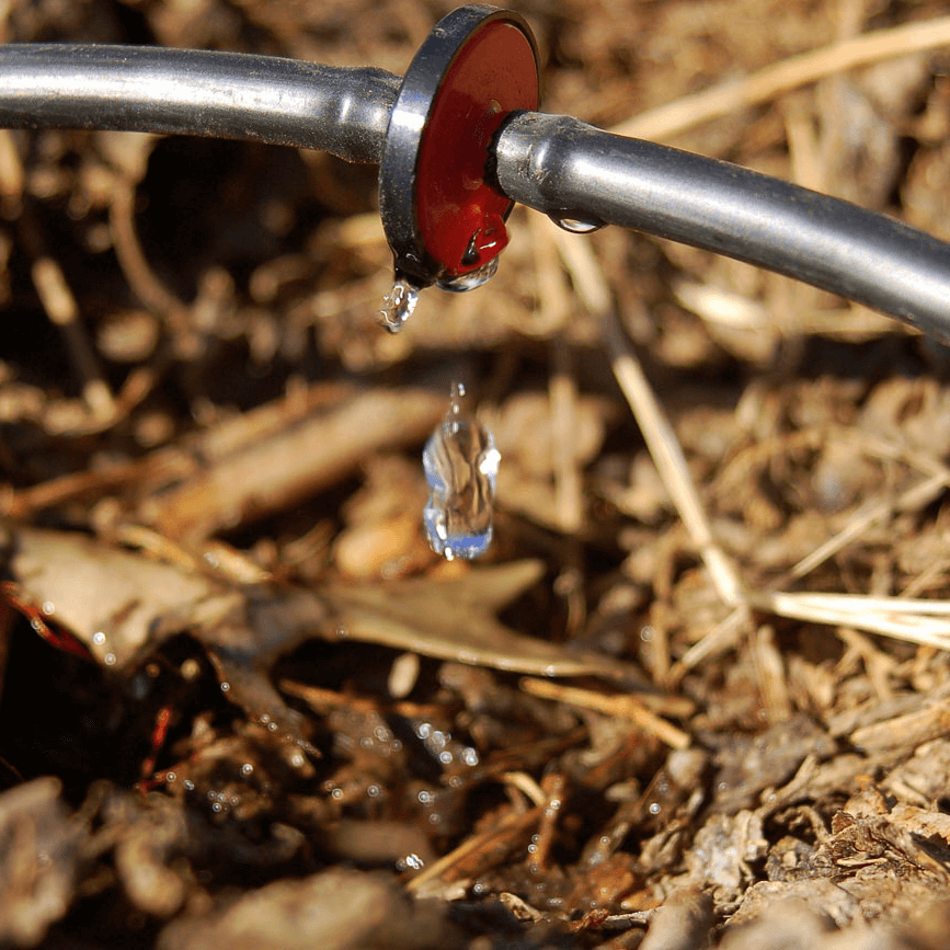 Drip systems Irriation