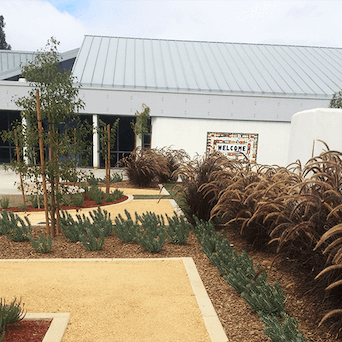 water conservation landscaping